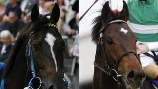 【セレクトセール2022】ハーツクライのラストクロップ全6頭を徹底解説！ さらに新種牡馬サートゥルナーリアは「すでに成功間違いなし」