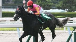レッドスパーダ産駒テイエムスパーダ ベストな条件で逃げ切り勝ち