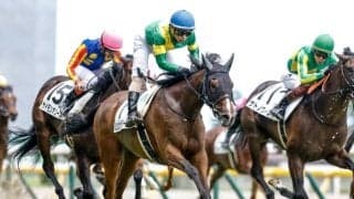 【次走】伏兵評価覆し新馬戦快勝のミシシッピテソーロはダリア賞へ　日本へ逆輸入されたダノンバラードの産駒