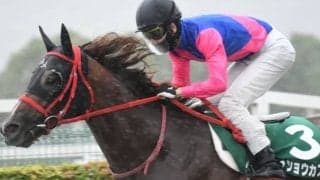 【プロキオンS】昨年は三連単194万円 波乱の鍵を握るのは出走馬の「将来性」