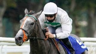 芦毛の新星がG1・4連勝　21年凱旋門賞の1番人気を撃破、海外注目「スーパースターだ」