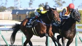 【七夕賞予想オッズ】ヒートオンビートが予想1番人気