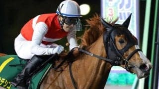 【スパーキングレディーC】ショウナンナデシコ重賞4連勝へ 史上初の快挙成し遂げた名牝に古豪がリベンジを挑む