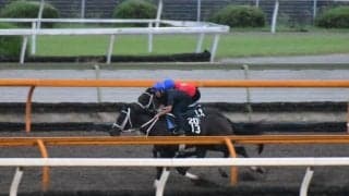 ブリッツファングなど、JDD追い切り速報/栗東トレセンニュース