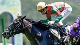 【次走】ナックブレイブはすずらん賞か秋の中山開催へ　レッドファルクス産駒として初勝利