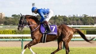 【次走】重賞2勝馬タイセイビジョンは北九州記念へ　前走日本レコード決着のCBC賞で2着