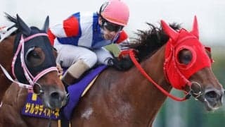 矢野貴之騎手が「公正保持」のため乗り替わり　スパーキングレディーCのサルサディオーネは森泰斗騎手に変更