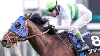 【函館記念想定】重賞2勝目狙うサンレイポケット、混合重賞制覇目指すフェアリーポルカ、GI馬の甥スマイルなど14頭