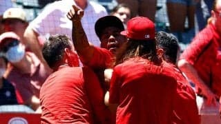 【MLB】エ軍守護神の大乱闘がネタに… 「ヒマワリの種大好き」“イジりTシャツ”にファン爆笑