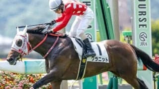 【次走】グラニットは新潟2歳S参戦を視野　シンガリ人気3着の新馬戦から2走目を逃げ切り快勝