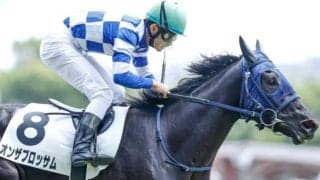 【次走】単勝131倍で新馬勝ちのオンザブロッサムはアルテミスSを目標に　「3億円馬」ダノンザタイガーの追撃を振り切り初勝利