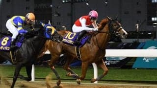 【スパーキングレディーC】ショウナンナデシコが貫禄の勝利