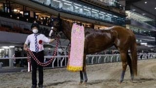 【スパーキングレディーC】吉田隼「最後は危ないところでした」ショウナンナデシコが抜け出す