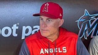 【MLB】大谷翔平を「近くで見られればよかった」　出場停止中の監督代行が本音ポロリ