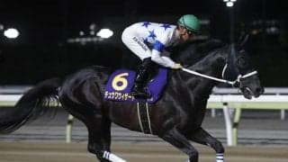 【次走】帝王賞2着のチュウワウィザードはJBCクラシックからチャンピオンズCへ