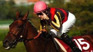 【POG】タッチングスピーチの2番仔が7/17に函館でデビュー