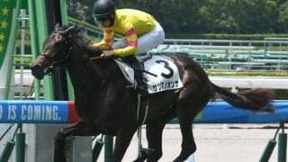 初代“薩摩の女”に続け！ 二代目サツマノオンナはひまわり賞で同一馬名2代制覇を狙う