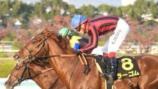 【プロキオンS出走馬・騎手確定】ラーゴム＆鮫島克駿騎手、サンライズウルス＆横山典弘騎手など16頭