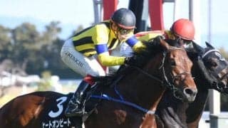 【七夕賞出走馬・騎手確定】ヒートオンビート＆池添謙一騎手、アンティシペイト＆武藤雅騎手など16頭