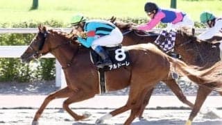 プロキオンＳは「小倉・ダート1700ｍ」で好成績のオルフェーヴル産駒を狙う。良血２頭のダート重賞初制覇に期待