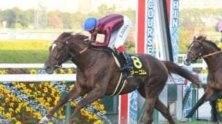 【プロキオンS枠順確定】ラーゴムは大外8枠16番、サンライズウルスは8枠15番