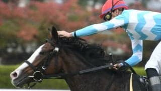 【次走】メロディーレーンは札幌芝の長丁場・丹頂Sへ 前走は宝塚記念にタイトルホルダーと姉弟で出走