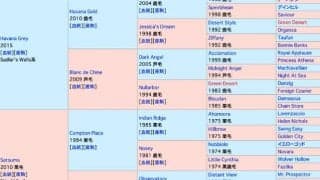 23日の小倉5Rで英国産馬ヤクシマがデビュー予定　欧州スプリンターの血を色濃く受け継ぐ