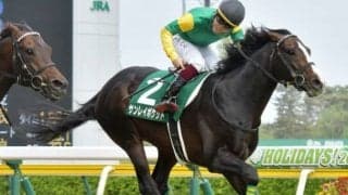 【函館記念想定】重賞2勝目狙うサンレイポケット、復活期すジェネラーレウーノ、混合重賞制覇目指すフェアリーポルカなど19頭