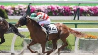 プロキオンＳで高額配当再び!? 小回りのダート戦を得意とする２頭の穴馬に要注意