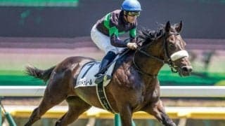 【次走】東京新馬Vのシャンドゥレールは札幌2歳Sへ