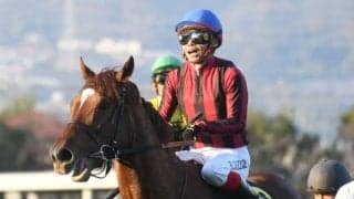 【プロキオンS前日オッズ】ラーゴムが5.1倍で1番人気