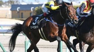 【七夕賞予想】過度な期待は禁物!? あの人気馬に過去の実績が不安材料として圧し掛かる