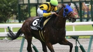 【AI予想・七夕賞】3年ぶり挑戦が功を奏す!? 週初から一転の「◎」人工知能が選んだのは…