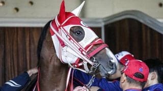 【英・ジュライC結果】地元のアルコールフリーが勝利、日本のキングエルメスは11着