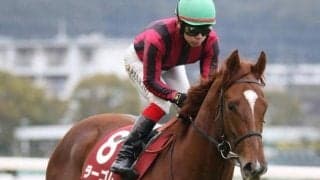 【プロキオンS予想】昨年は雨の中で人気馬総崩れ…今年一流馬へと昇り詰めるのは果たして!?