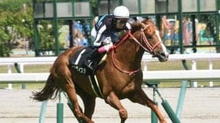 【七夕賞予想】2ケタ人気で馬券になる馬たちには共通点あり？ 波乱を呼ぶ使者の3つの条件とは？