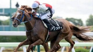 堀内岳志調教師がJRA初勝利　10日の函館10Rで管理馬アスティが快勝