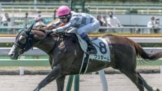 JRAで函館2歳Sと函館記念、大井ではジャパンダートダービー/今週の競馬界の見どころ