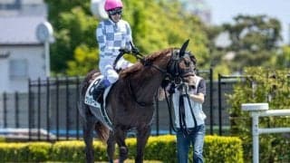 【函館2歳S見どころ】世代最初の重賞ウィナーに輝くのはどの馬か