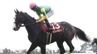 【函館記念見どころ】サンレイポケットが重賞2勝目を狙う