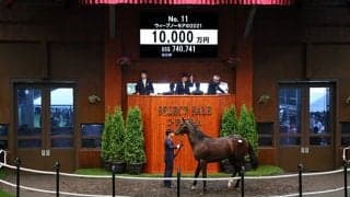 【セレクトセール2022】ウィープノーモアの2021をDMMが1億円で落札！ 母はアメリカG1馬