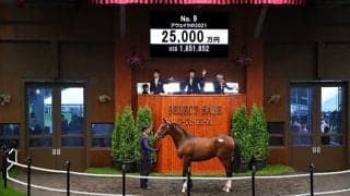 【セレクトセール2022】アウェイクの2021を金子真人氏が2億5000万円で落札 近親にステラヴェローチェなど