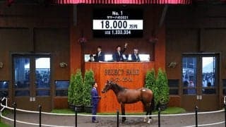 【セレクトセール2022】サマーハの2021をDMMが1億8000万円で落札！ 半兄に重賞3勝馬シャケトラ