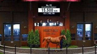 【セレクトセール2022】上場馬唯一のフランケル産駒 ジェットセッティングの2021を1億5500万円で 母は愛G1覇者