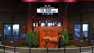 【セレクトセール2022】フランケル産駒が1億5500万円