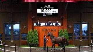 【セレクトセール2022】ドゥラメンテ産駒が1億円