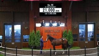 【セレクトセール2022】藤田晋氏がダノンベルーガの妹を2億1000万円で落札