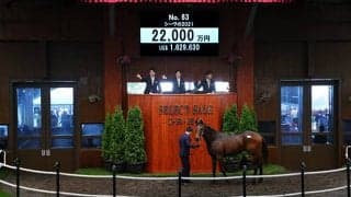 【セレクトセール2022】5億円馬の半弟は2億2200万円　兄と同じ「ショウナン」国本哲秀氏が落札