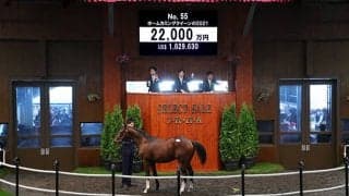 【セレクトセール2022】伯父は凱旋門賞馬　ホームカミングクイーンの2021をダノックスが2億2000万円で落札