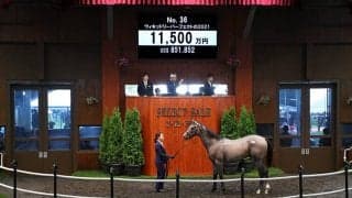 【セレクトセール2022】ホープフルS覇者ハートレーの半弟を「サトノ」里見治氏が1億1500万円で落札
